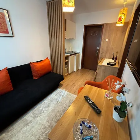 Brigitte Apartament Sovata